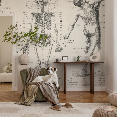 Fotobehang voor slaapkamer Klassieke anatomie