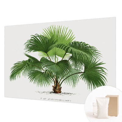 Premium fotobehang met een exotische palmboom als motief