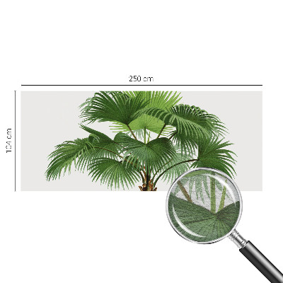 Premium fotobehang met een exotische palmboom als motief