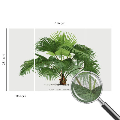 Premium fotobehang met een exotische palmboom als motief