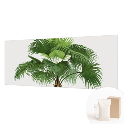 Premium fotobehang met een exotische palmboom als motief