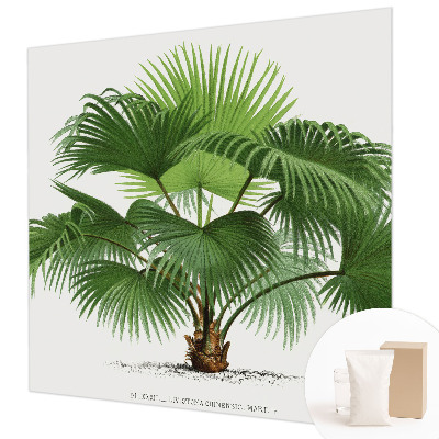 Premium fotobehang met een exotische palmboom als motief