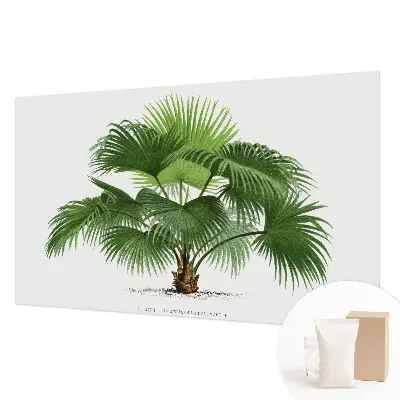 Premium fotobehang met een exotische palmboom als motief