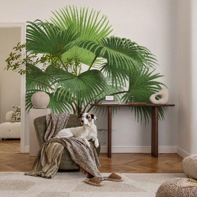Premium fotobehang met een exotische palmboom als motief