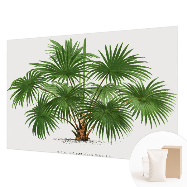 Hoogwaardig fotobehang met een exotisch patroon