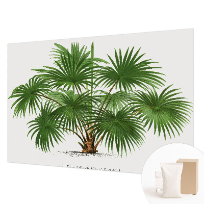 Hoogwaardig fotobehang met een exotisch patroon