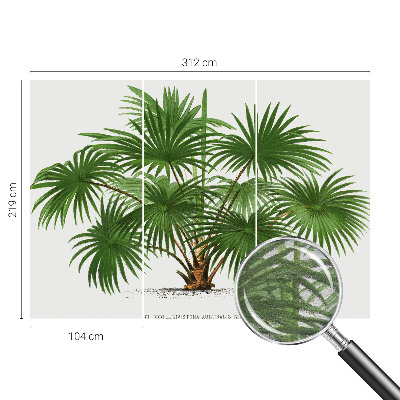 Hoogwaardig fotobehang Exotisch patroon