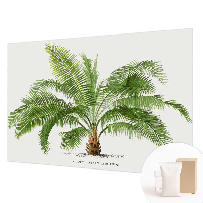 Kwalitatief fotobehang met een glanzende palmboomprint