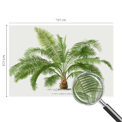 Kwalitatief fotobehang met een glanzende palmboomprint