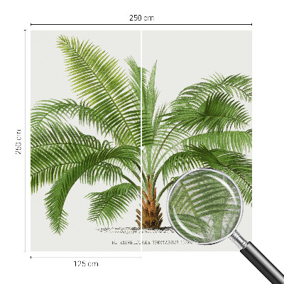 Kwalitatief fotobehang Glanzende palmboom