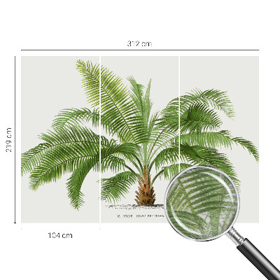Kwalitatief fotobehang met een glanzende palmboomprint
