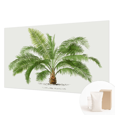 Kwalitatief fotobehang met een glanzende palmboomprint