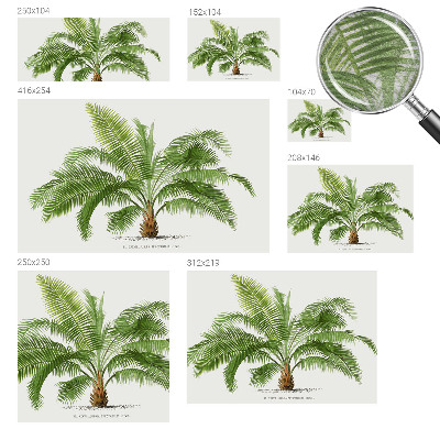 Kwalitatief fotobehang met een glanzende palmboomprint