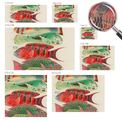 Sfeervol fotobehang Exotische vissen