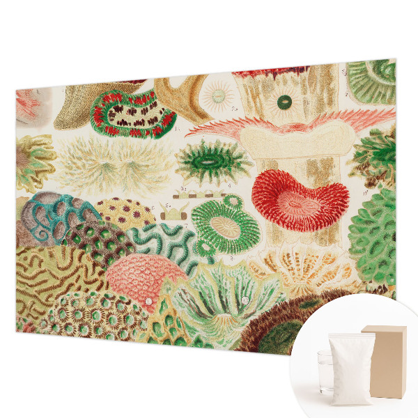 Uniek fotobehang Organische vormen