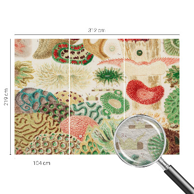 Uniek fotobehang Organische vormen