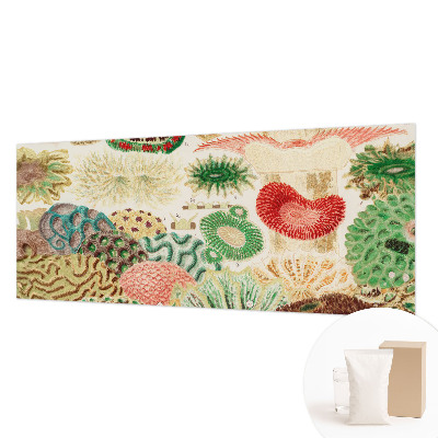 Uniek fotobehang Organische vormen