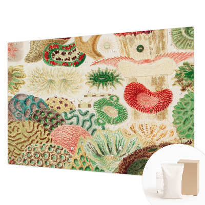 Uniek fotobehang Organische vormen