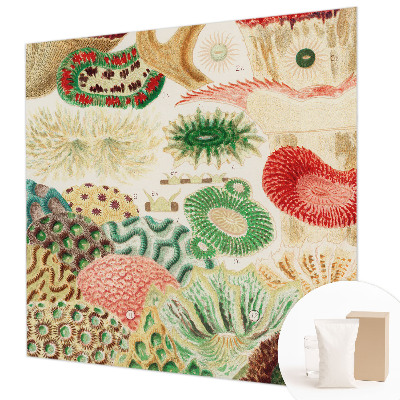 Uniek fotobehang Organische vormen