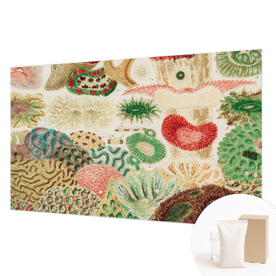 Uniek fotobehang Organische vormen