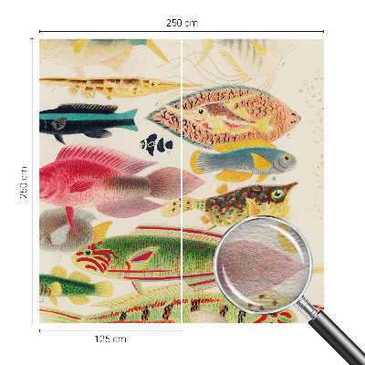 Groot fotobehang Kleurrijke vissen