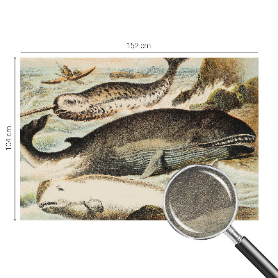 Fotobehang woonkamer Zeereuzen