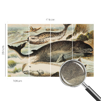 Fotobehang woonkamer Zeereuzen