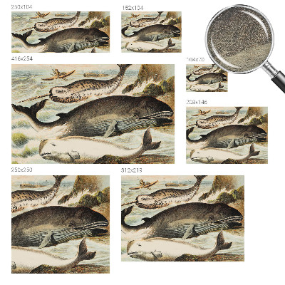 Fotobehang woonkamer Zeereuzen