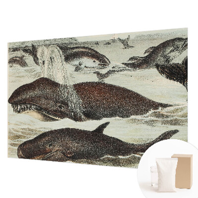 Fotobehang slaapkamer met een ontwerp van zeedieren