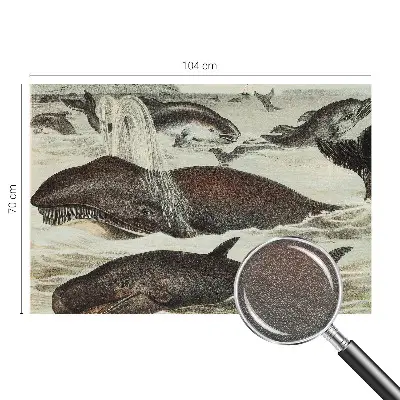 Fotobehang slaapkamer met een ontwerp van zeedieren