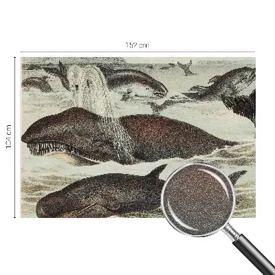 Fotobehang slaapkamer met een ontwerp van zeedieren