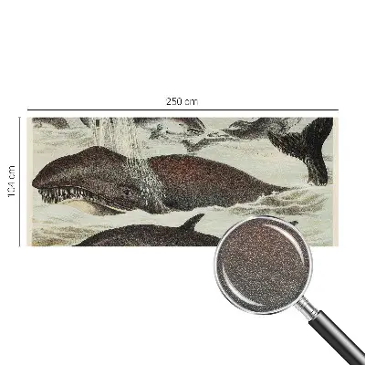 Fotobehang slaapkamer met een ontwerp van zeedieren