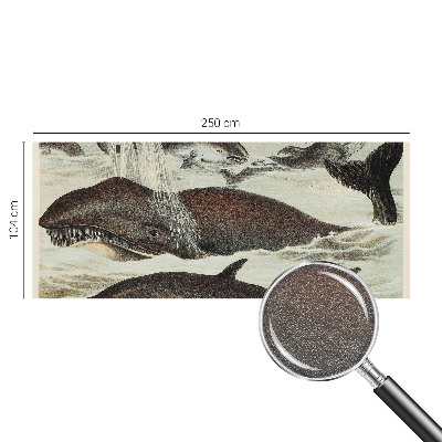 Fotobehang slaapkamer Zeedieren