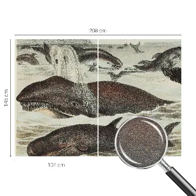 Fotobehang slaapkamer met een ontwerp van zeedieren