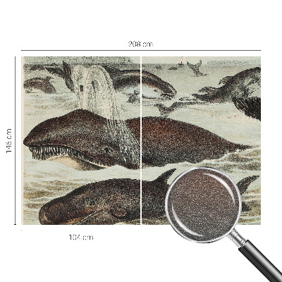 Fotobehang slaapkamer Zeedieren