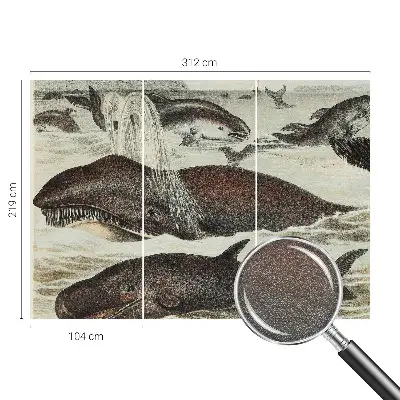 Fotobehang slaapkamer met een ontwerp van zeedieren