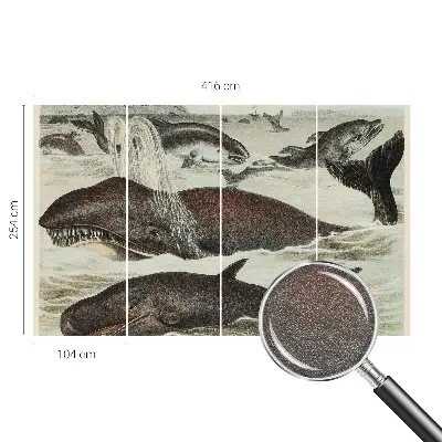 Fotobehang slaapkamer met een ontwerp van zeedieren