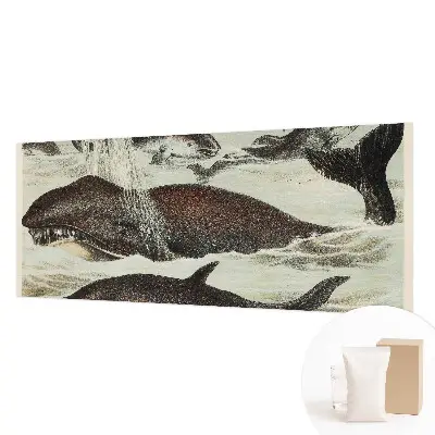 Fotobehang slaapkamer met een ontwerp van zeedieren