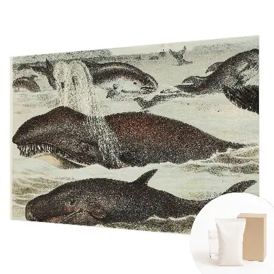Fotobehang slaapkamer met een ontwerp van zeedieren