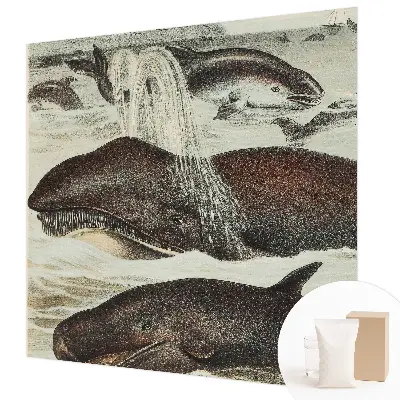 Fotobehang slaapkamer met een ontwerp van zeedieren