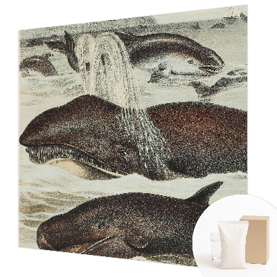 Fotobehang slaapkamer Zeedieren