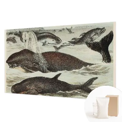 Fotobehang slaapkamer met een ontwerp van zeedieren