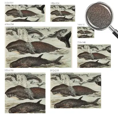 Fotobehang slaapkamer met een ontwerp van zeedieren