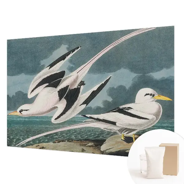 Fotobehang met een print van vogels aan zee