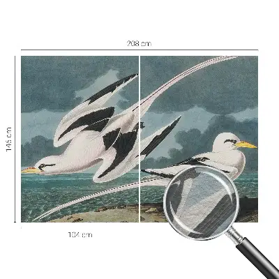 Fotobehang met een print van vogels aan zee