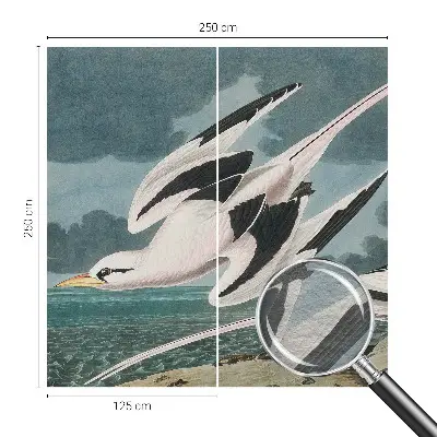 Fotobehang met een print van vogels aan zee