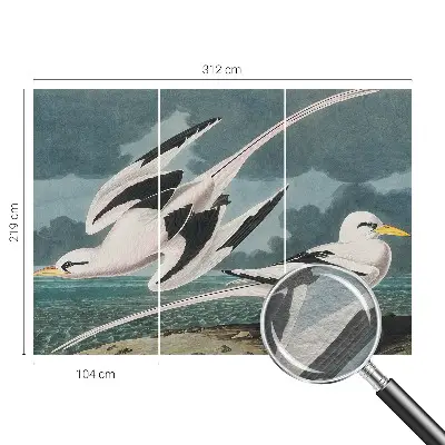 Fotobehang met een print van vogels aan zee