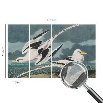 Fotobehang met een print van vogels aan zee