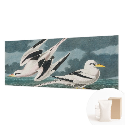 Fotobehang Vogels aan zee