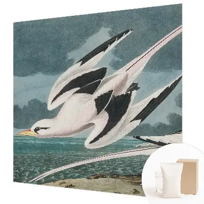 Fotobehang met een print van vogels aan zee